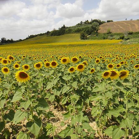 Tenuta Di Colle Alberti Agriturismo Villa Cerreto Guidi Esterno foto